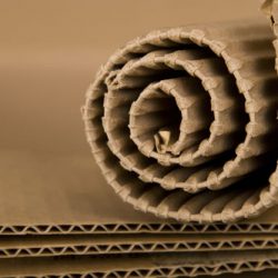 packaging packaging